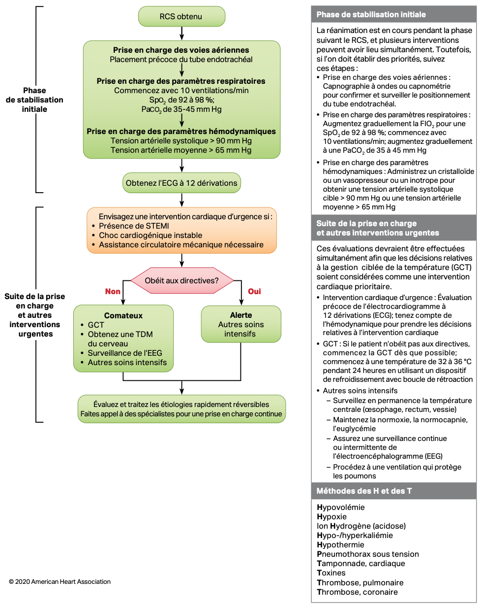 Algorithme 2020 des soins suivant un arrêt cardiaque chez l'adulte, proposé par l'AHA