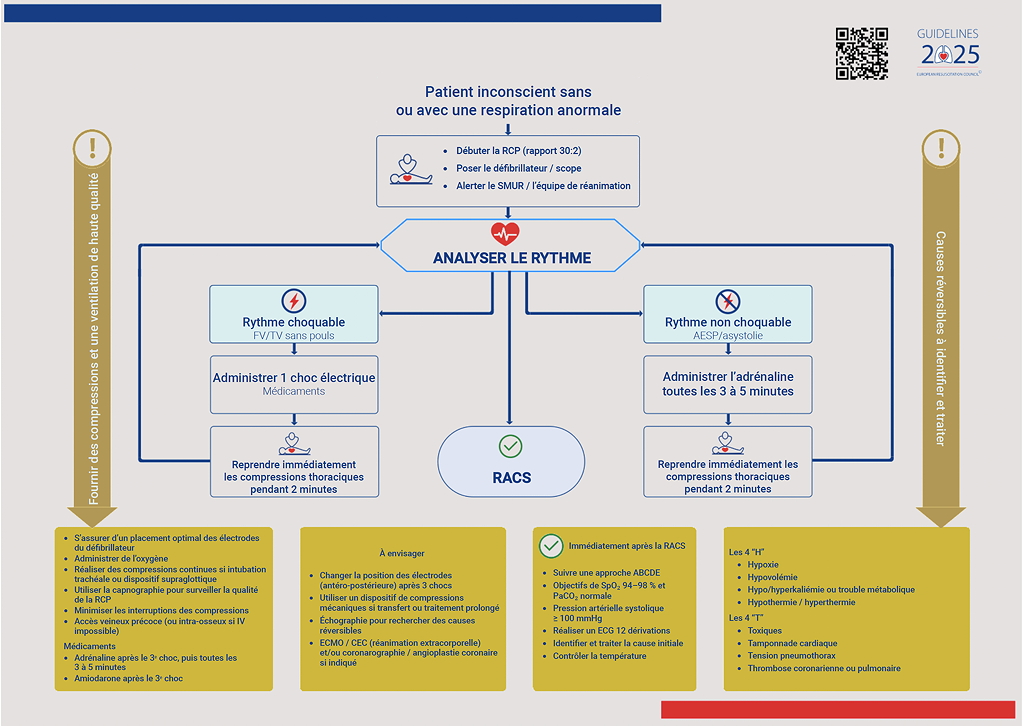 Algorithme ERC - Réanimation cardio-pulmonaire adulte 2025